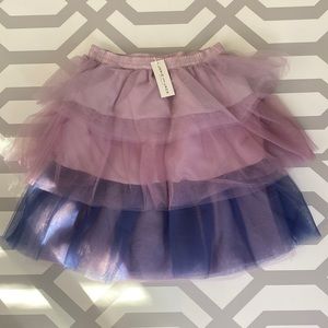 Girl’s Tutu Skirt